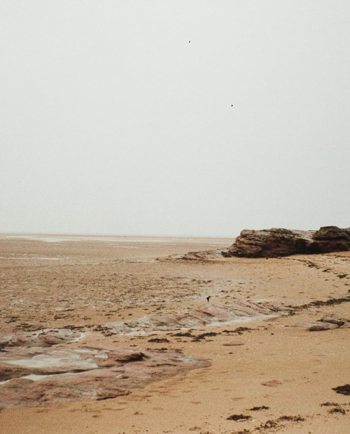 펜탁스 ZOOM 60 필름 카메라 (빈티지 카메라) 상품이미지7