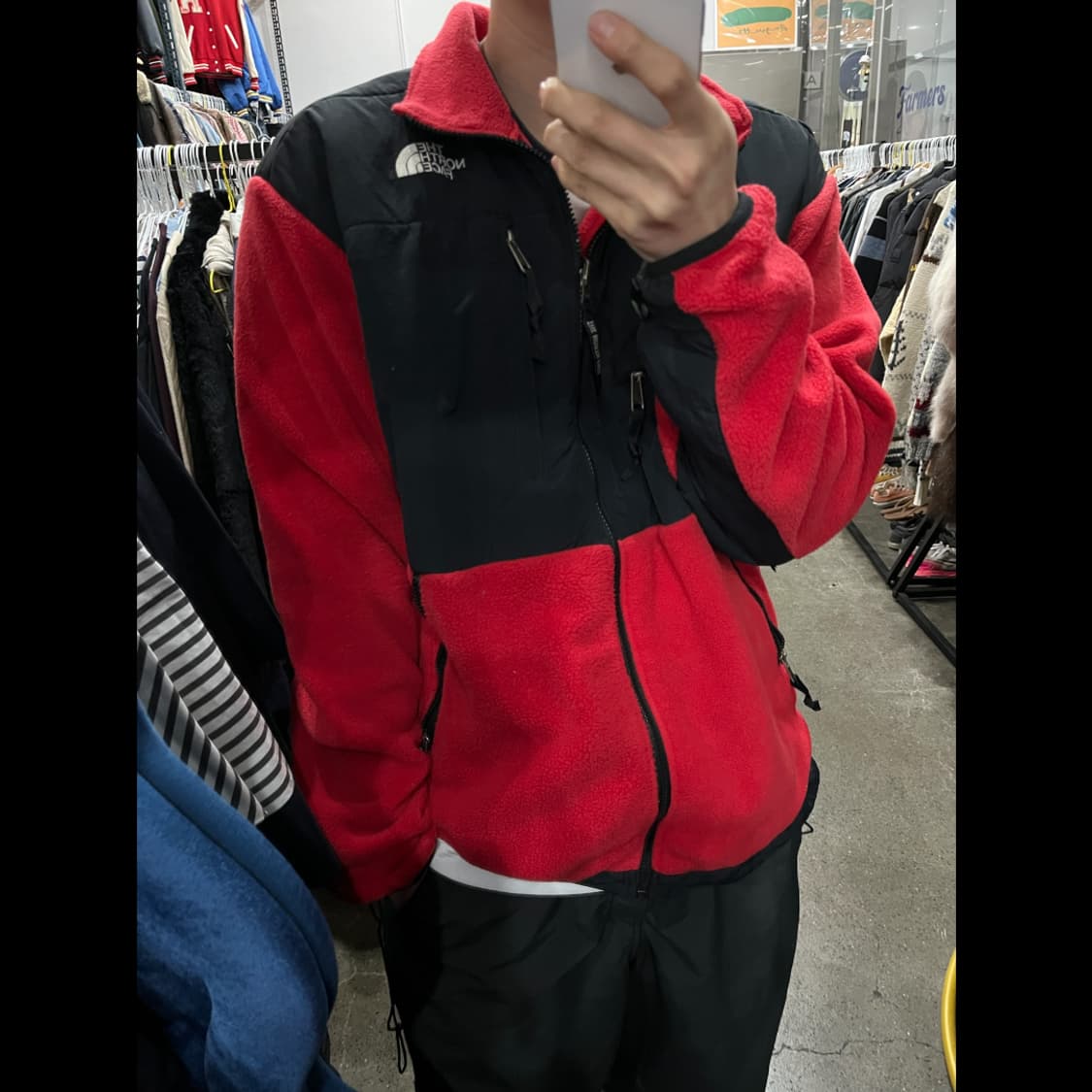 노스페이스 해외판 데날리 후리스 자켓  상품이미지4