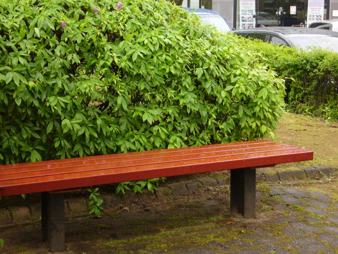 [바로사용가능] 파나소닉 루믹스 DMC LS2 실버 빈티지 디카 상품이미지9