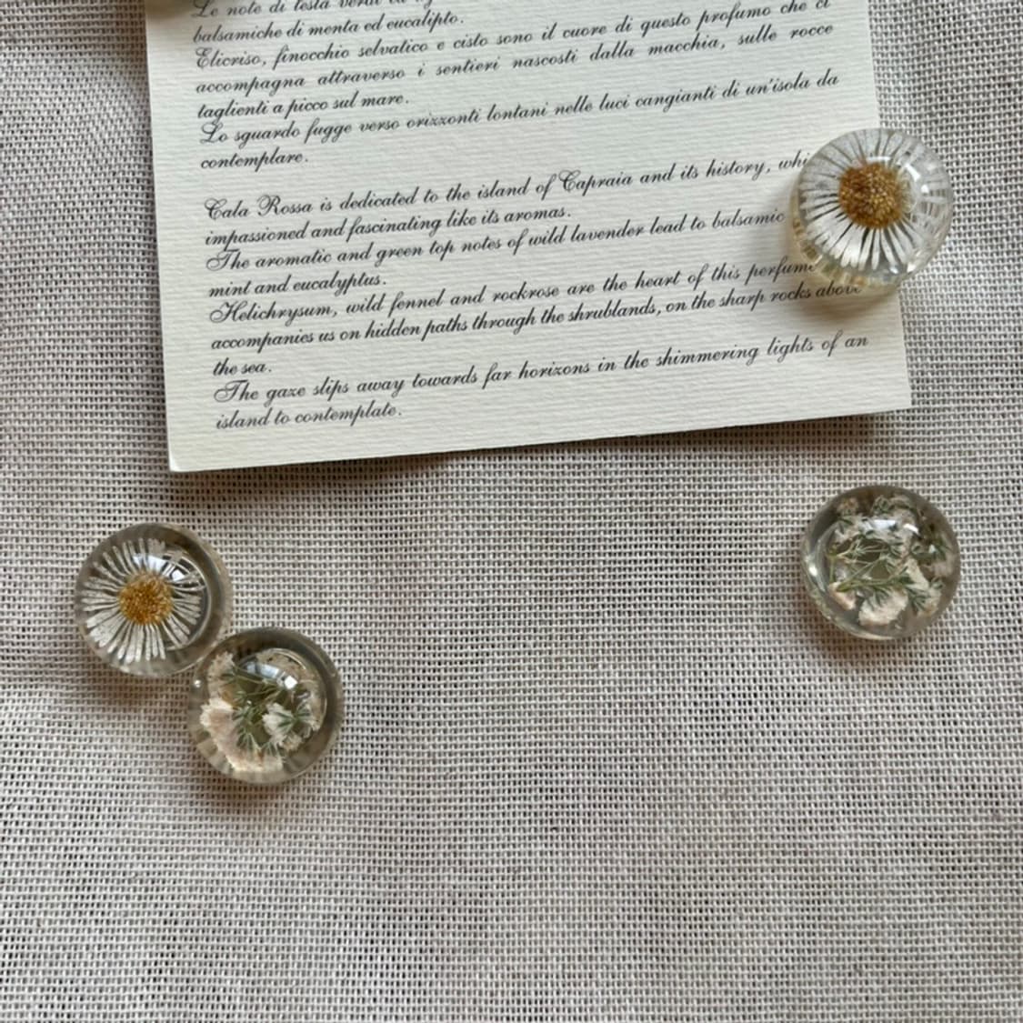 Flower Magnet (6p set)  상품이미지3