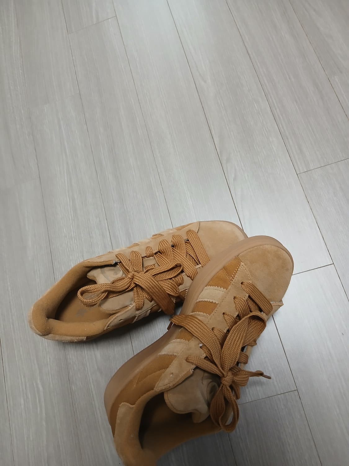 아디다스 캠퍼스 브라운 265 새상품 상품이미지4