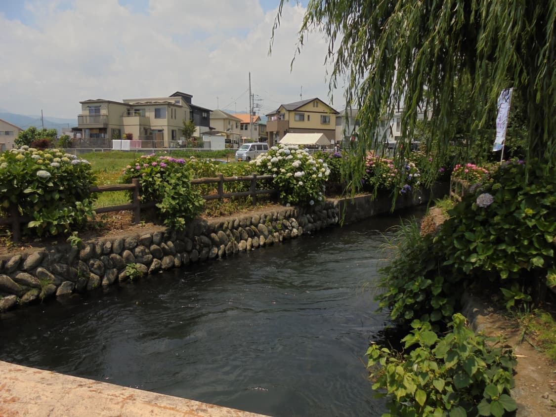 (아이브 레이 디카) 소니 사이버샷 DSC-W810 상품이미지9