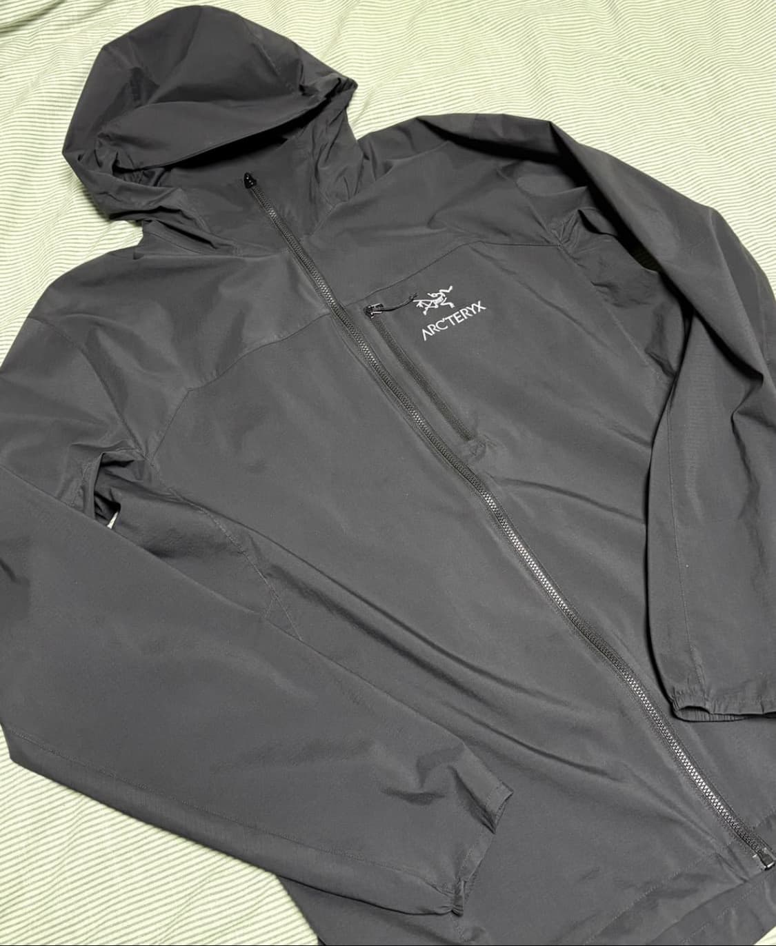 아크테릭스 스쿼미시 후디 블랙  상품이미지1