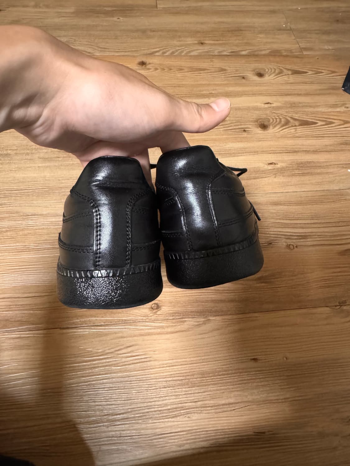 페몬트 250 상품이미지2