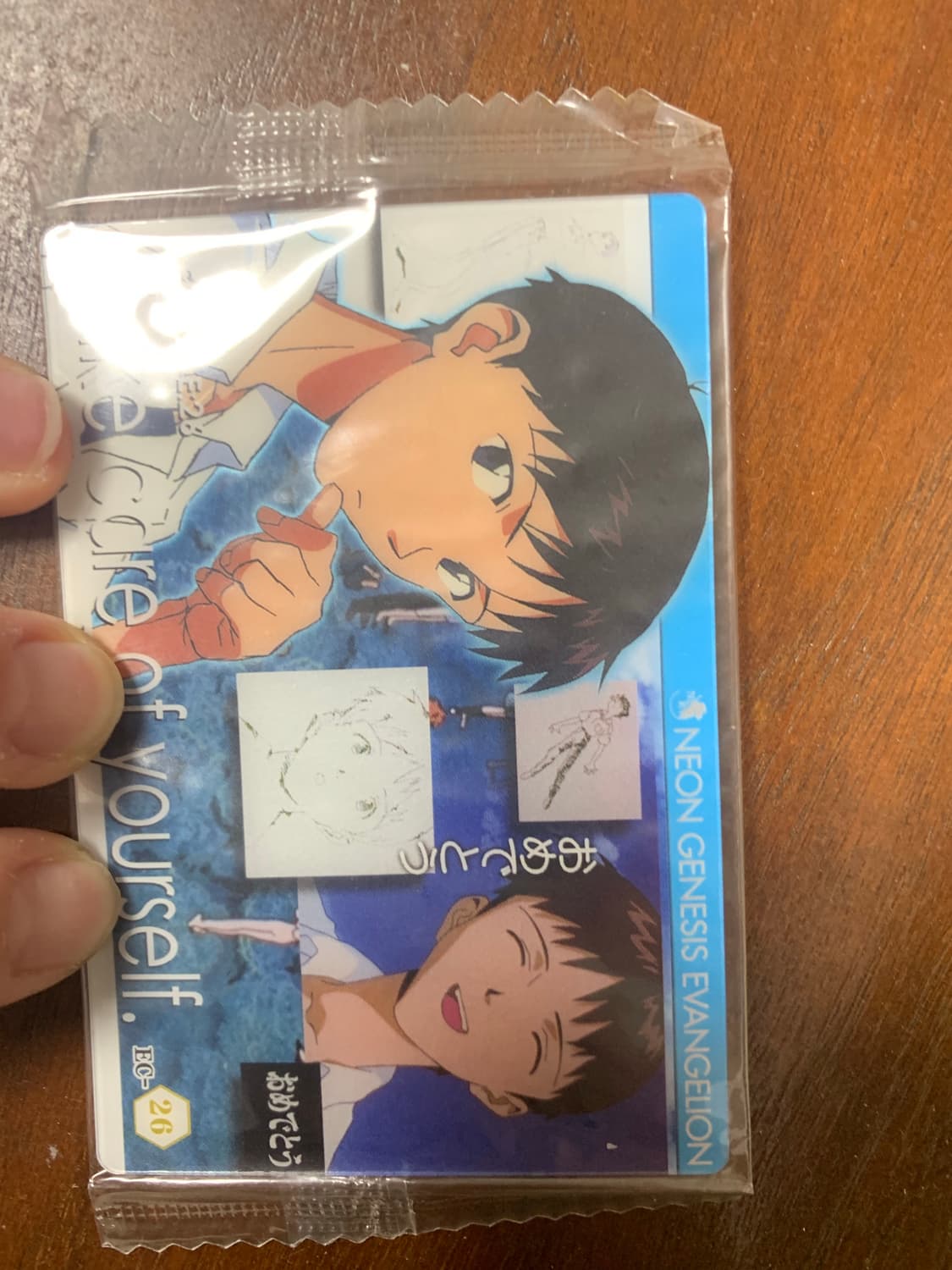 에반게리온 카드 일괄 고전 희귀 신지 카오루 아스카 사도 신극장판 웨하스 상품이미지3