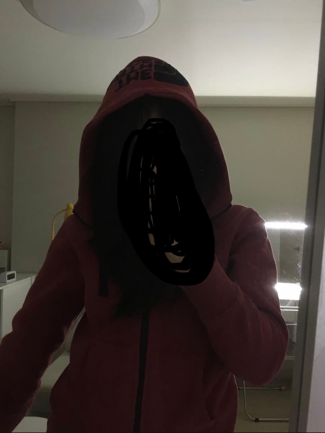 노스페이스 재팬 후드집업 상품이미지4