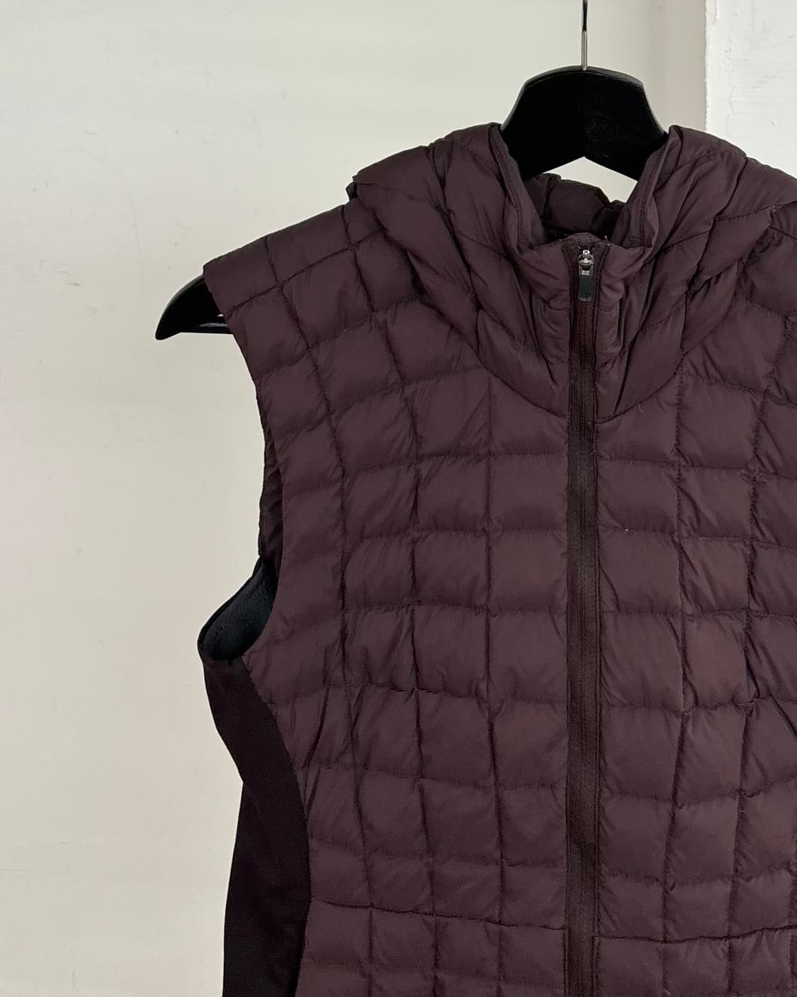 아크테릭스 퍼플 나린 다운 베스트 상품이미지3