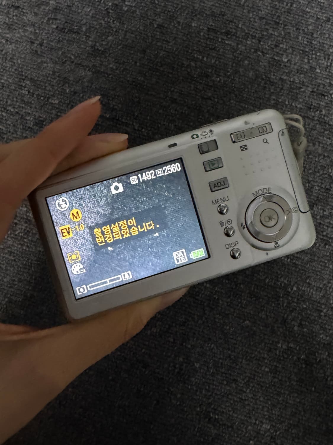 리코 카프리오 R2 디카 (작례O) 상품이미지2