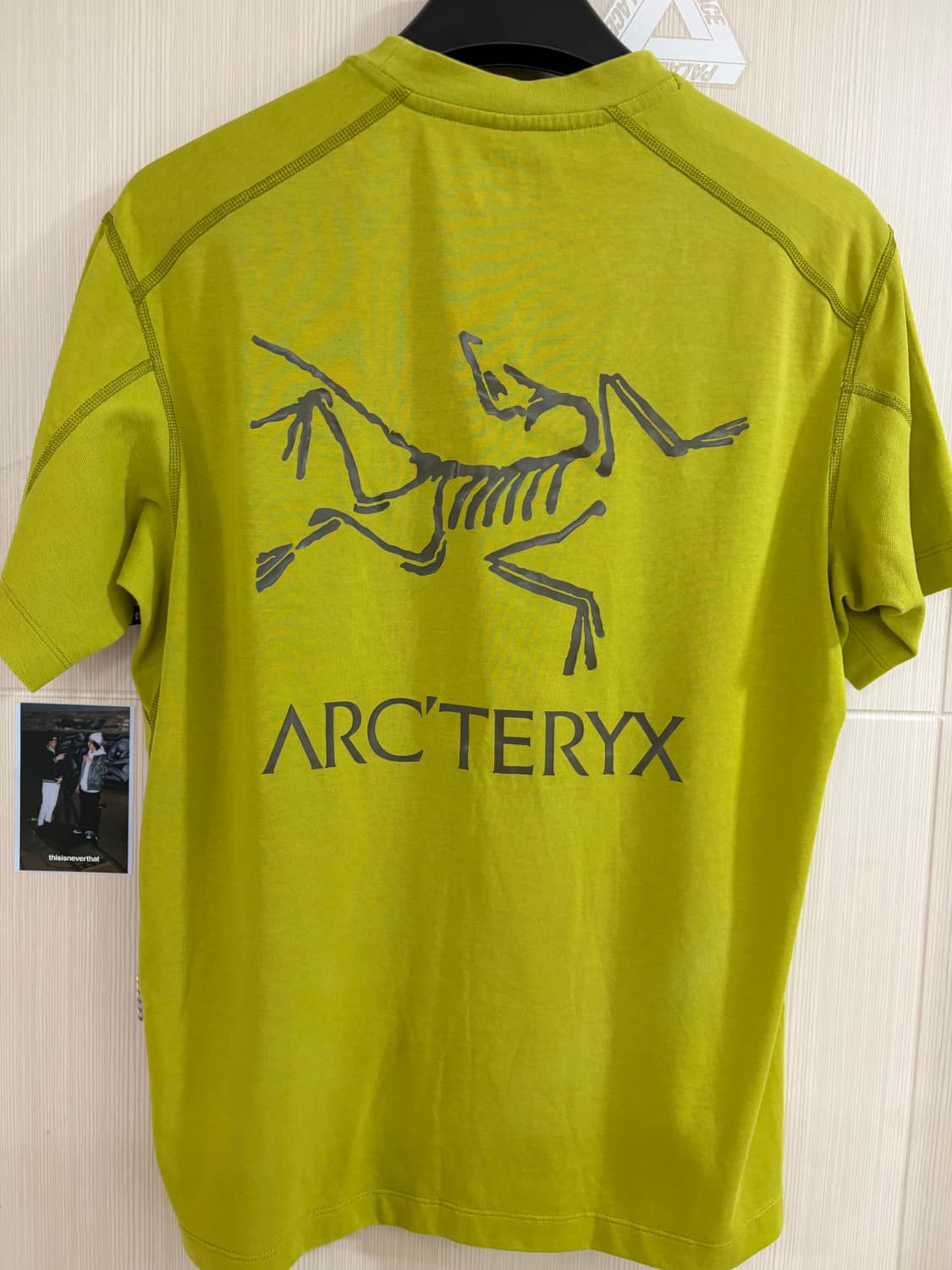 아크테릭스 시스템A 코팔 티셔츠 상품이미지2