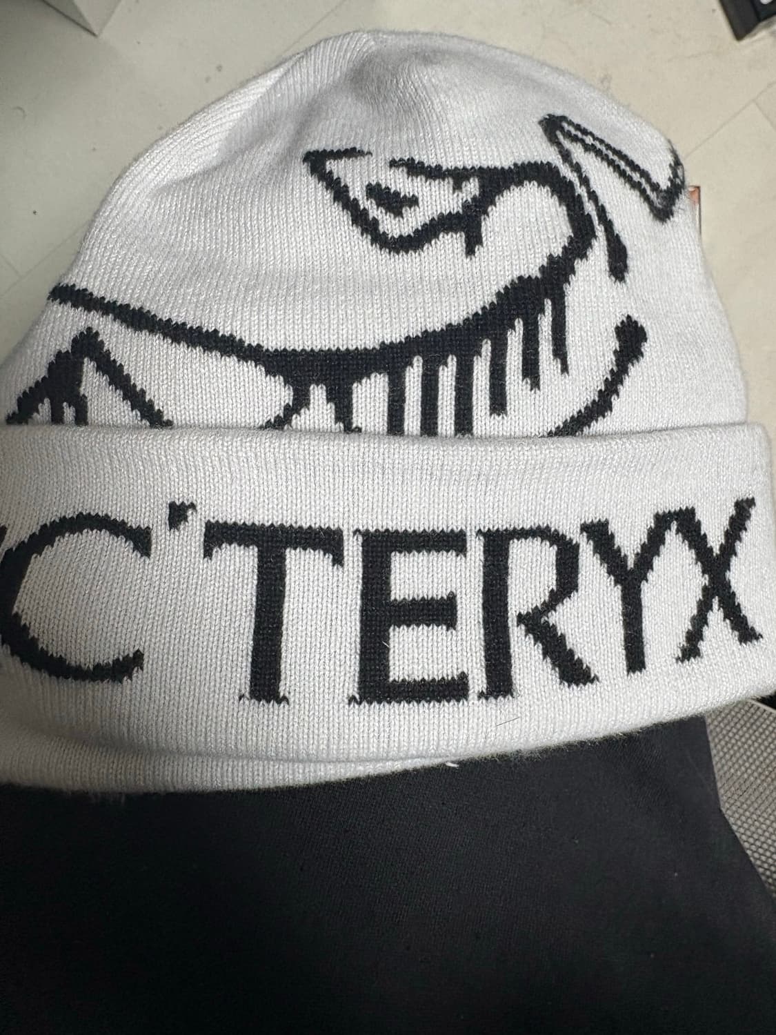 아크테릭스 비니 상품이미지2