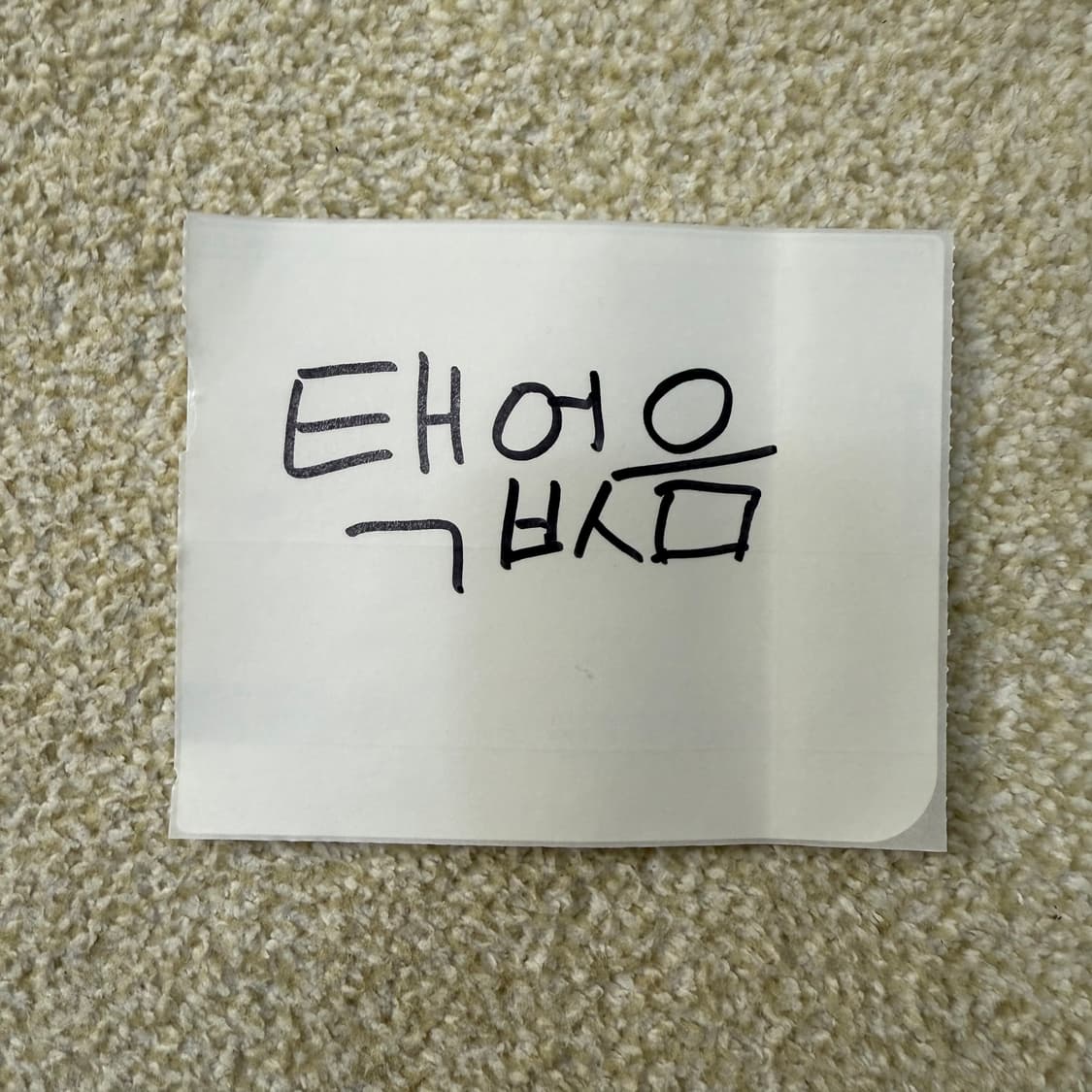 [실측확인] 세인트제임스 베이직 긴팔 티셔츠 0106T1 상품이미지4