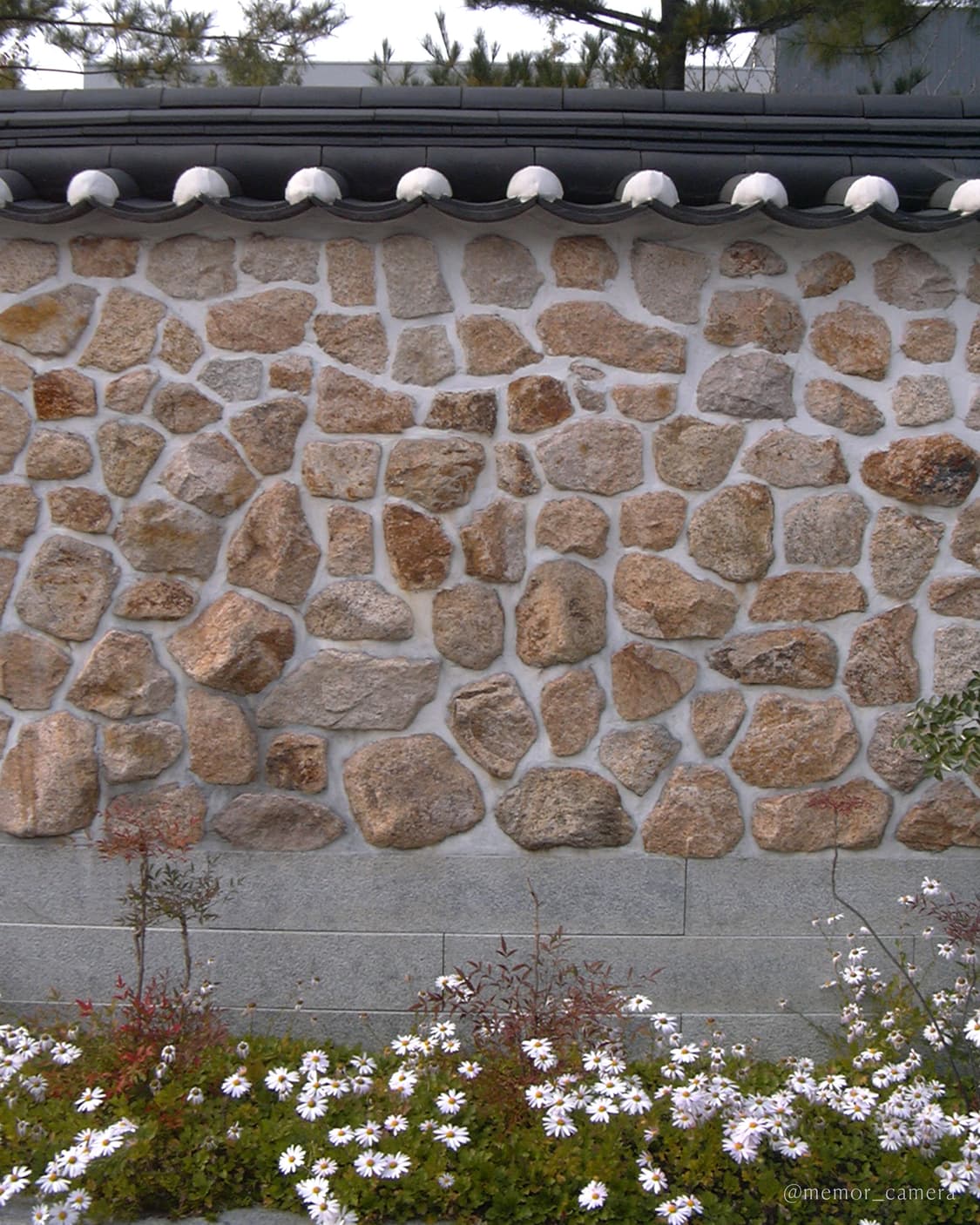 희귀/자연스러운필카느낌☁️Panasonic DMC-LC20 파나소닉 디카 상품이미지7