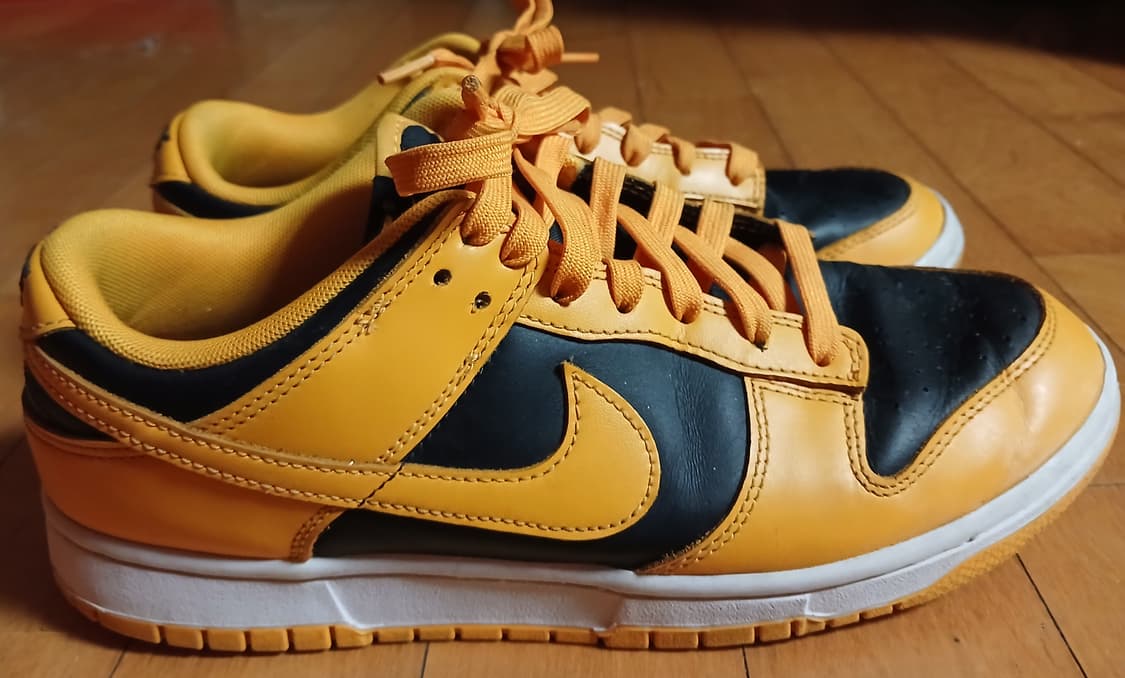 나이키 덩크로우 골드로드 270 상품이미지3