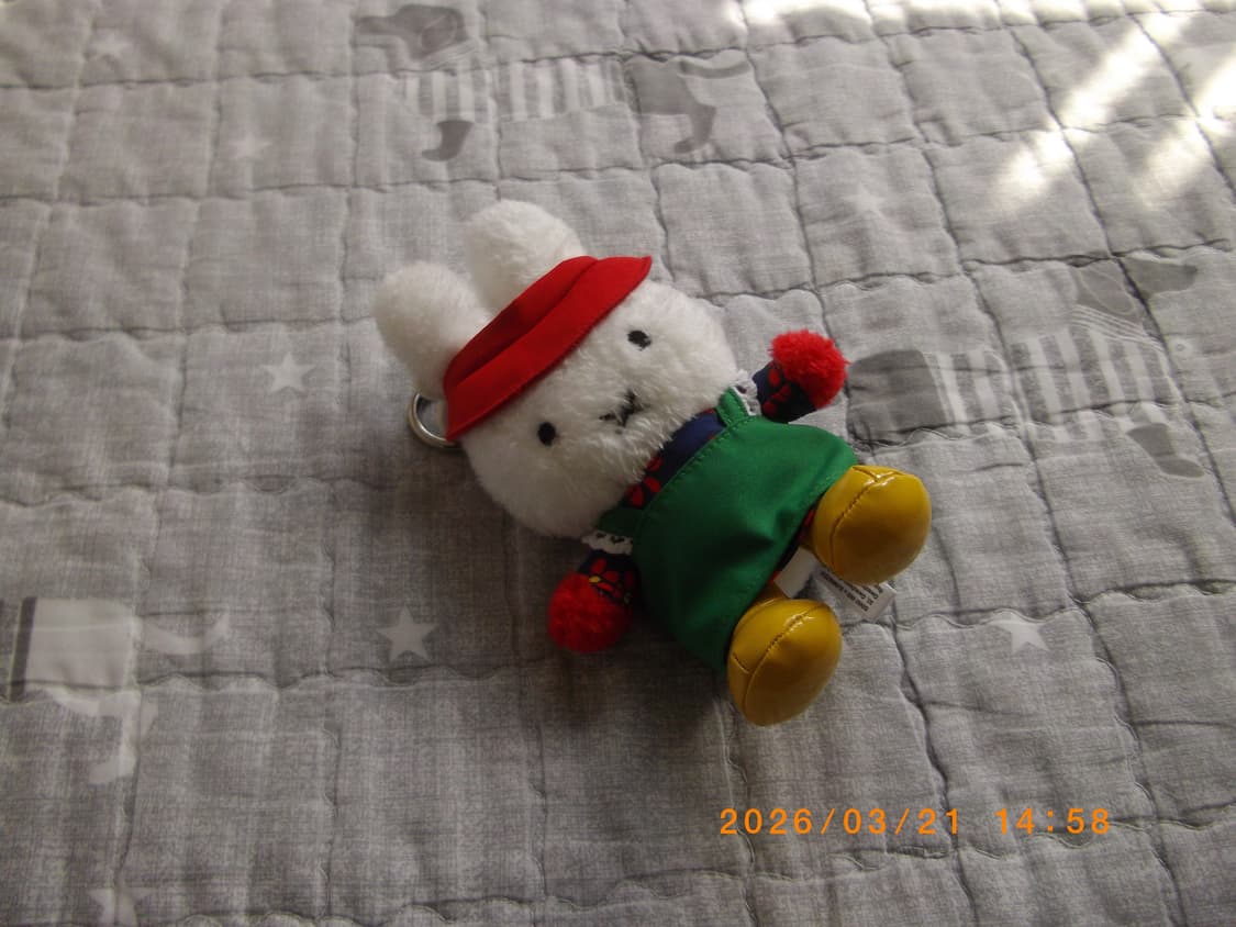 펜탁스 옵티오 RS1000 아이브 레이 디카  상품이미지4