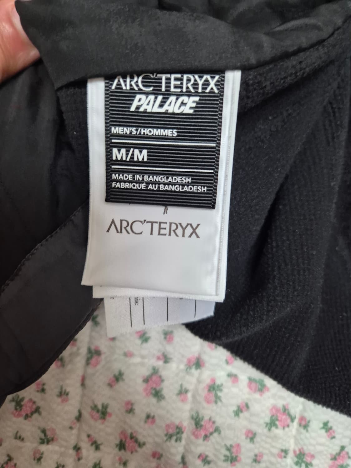 M) 아크테릭스 팔라스 아톰 Lt 자켓 상품이미지6