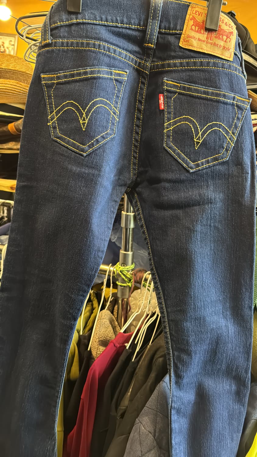 리바이스 type1 부츠컷 바지 상품이미지1