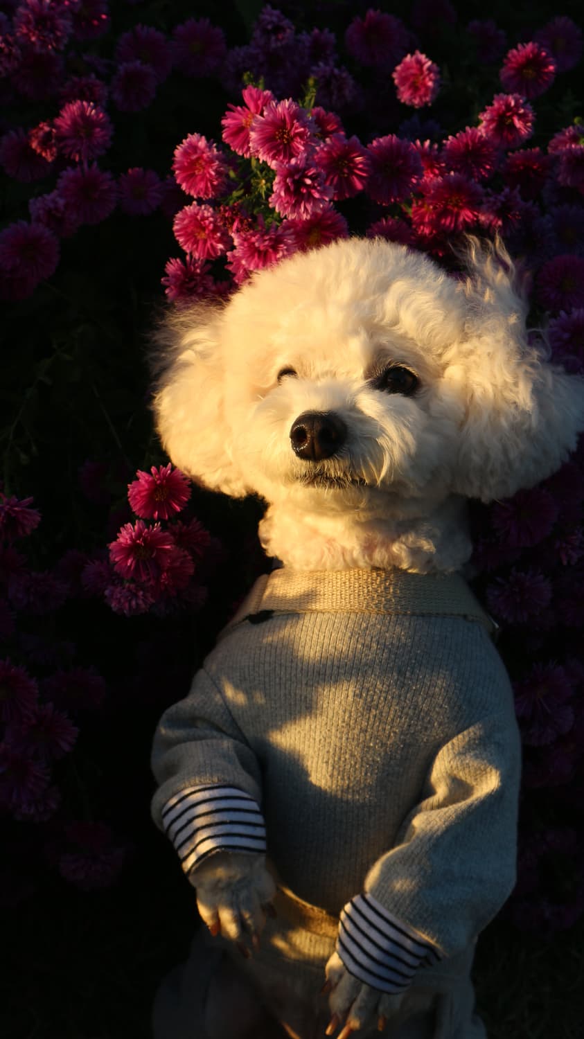 캐논 eos m10 미러리스 카메라 + 15-45mm 렌즈 상품이미지3