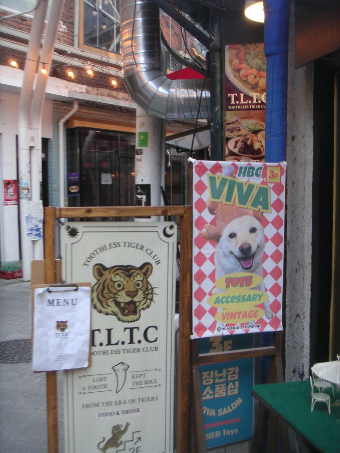 아주 험블한 미놀타 디미지 xt 상품이미지3