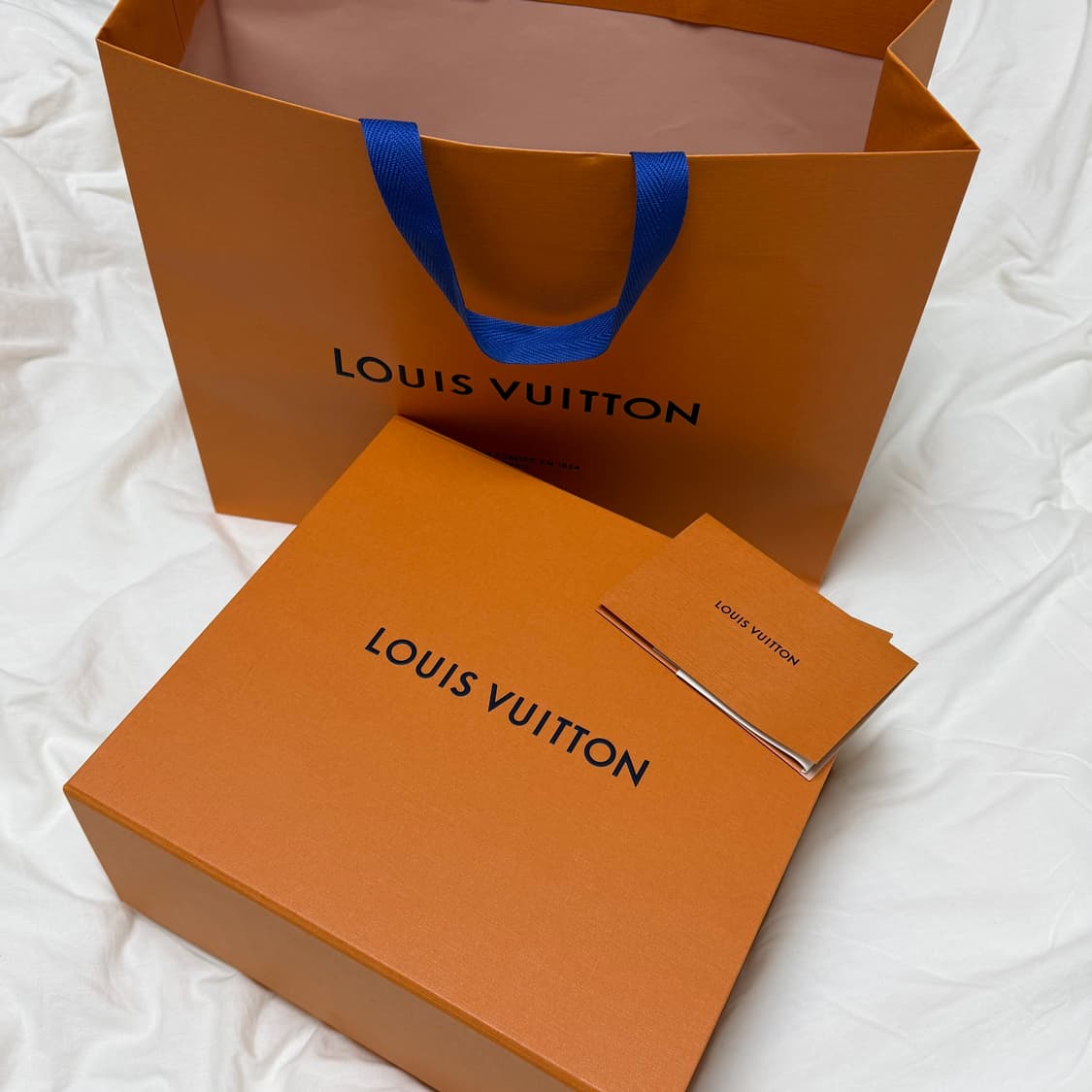 루이비통 클루니 미니 정품 상품이미지2