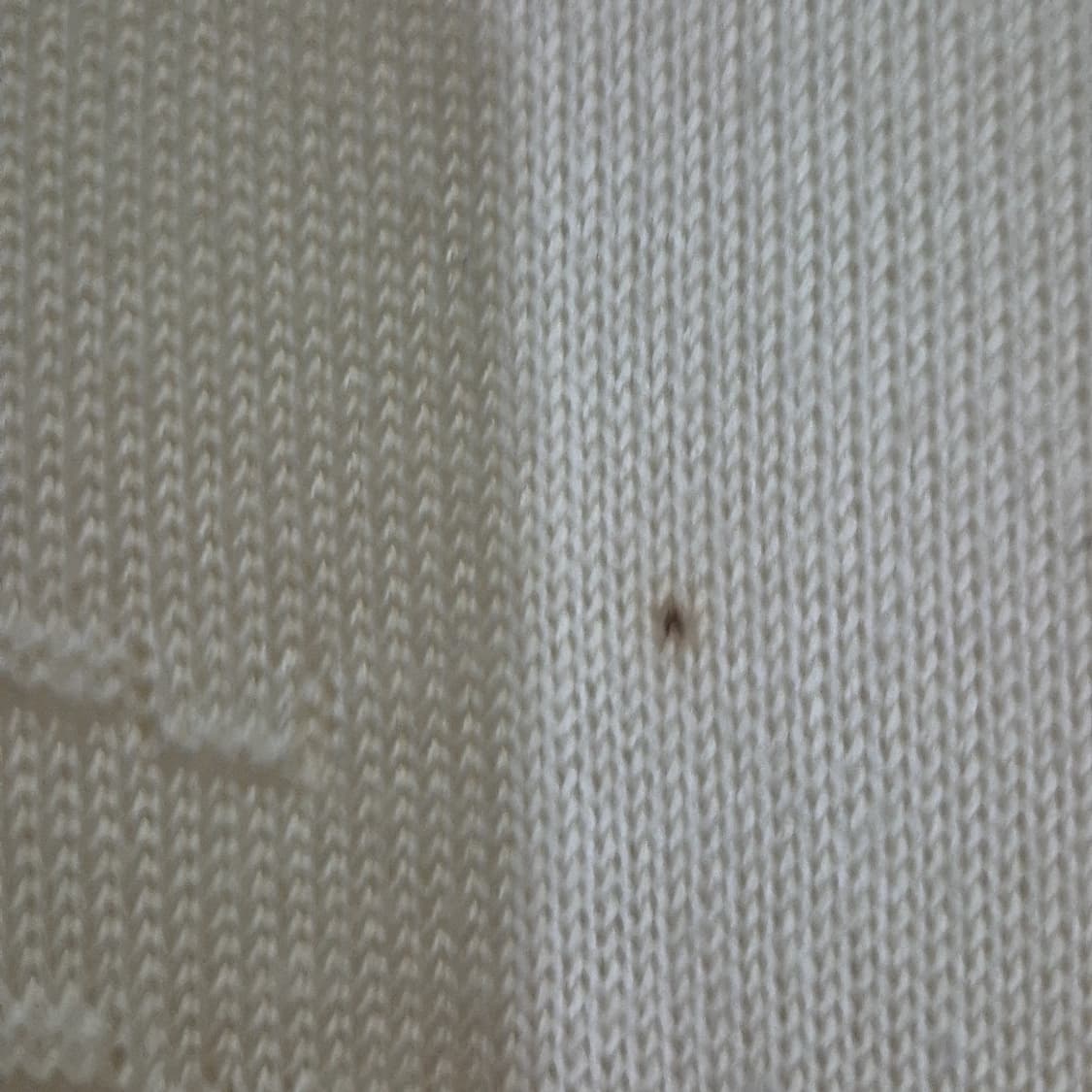 Chovert 자수 니트 상품이미지6