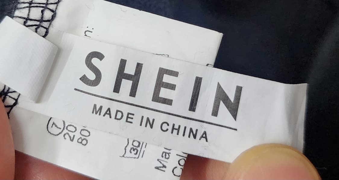 SHEIN JPN  호랑이 자수 후드티 2XL 상품이미지3