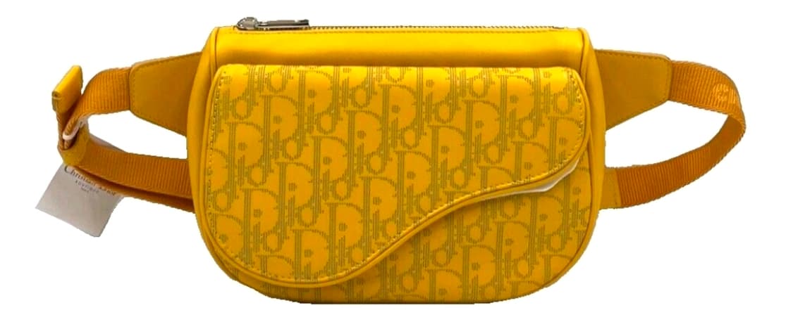 디올오블리크 월드 투어 벨트백 상품이미지2