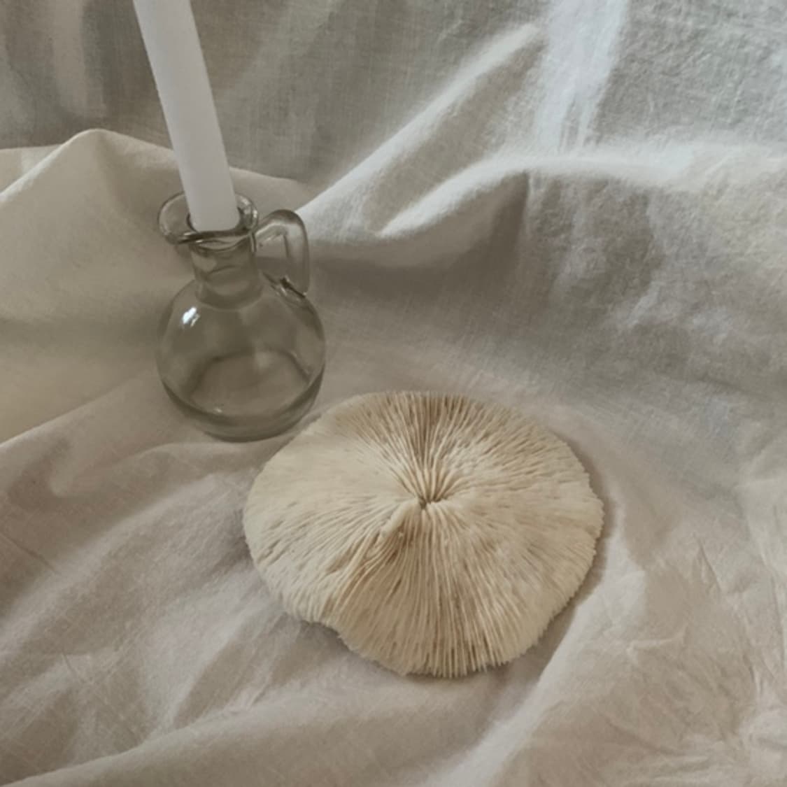 Round Coral Objet (S) 상품이미지1