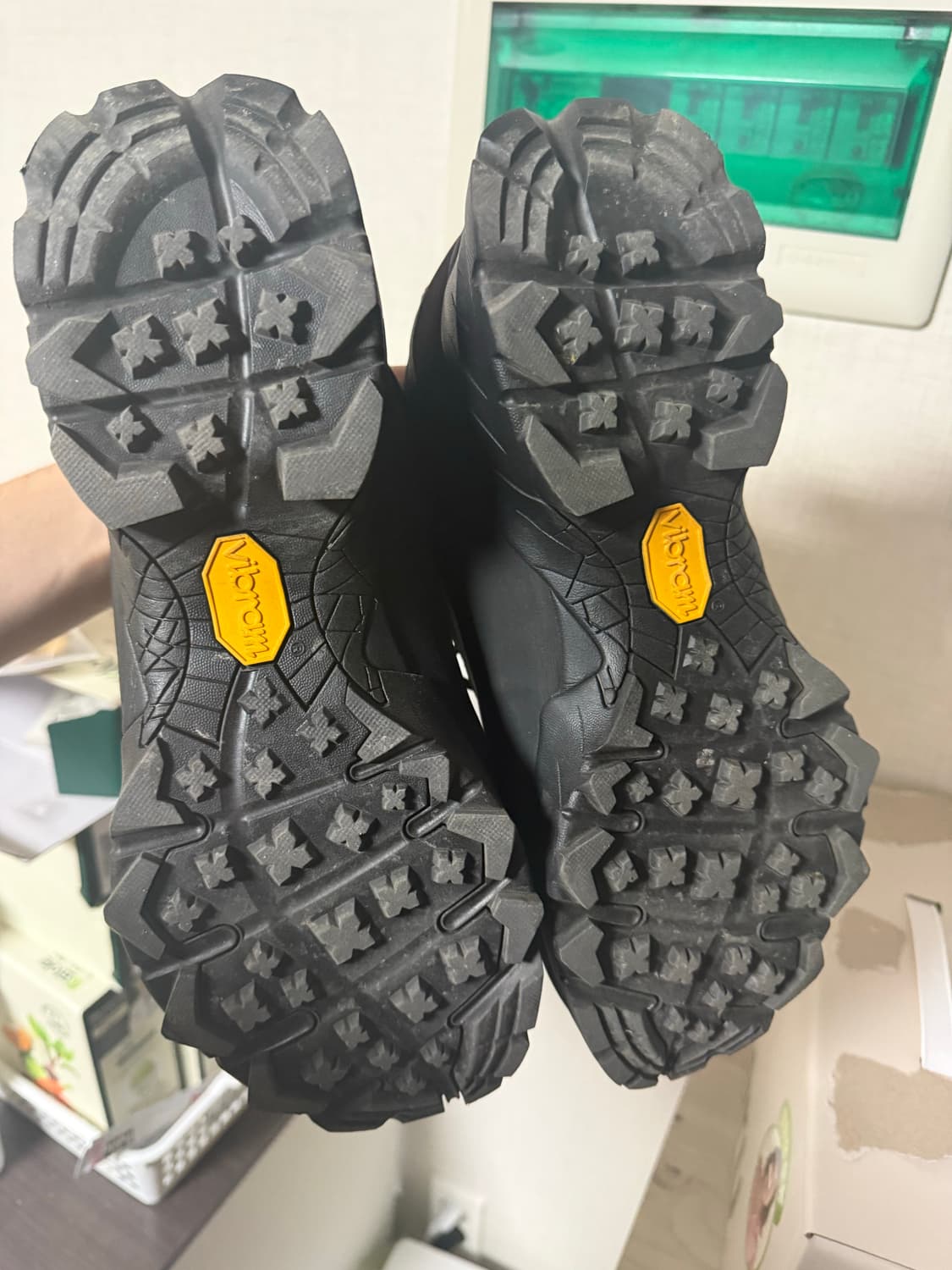 로아 카타리나 eu44 상품이미지3