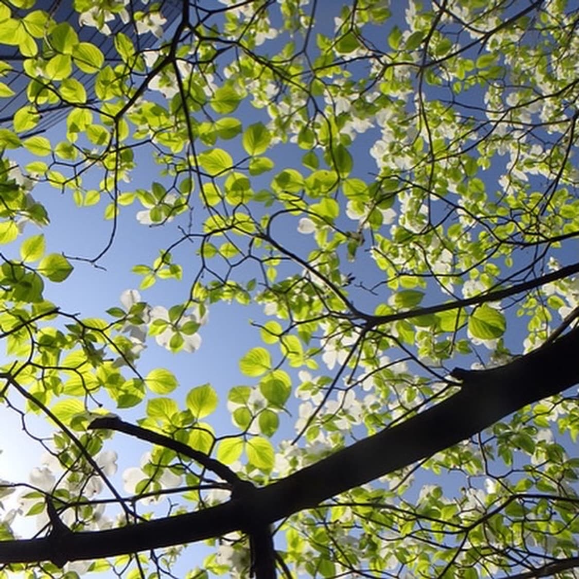 올림푸스 스타일러스 Olympus Stylus TG-870 블랙(라임) 상품이미지4