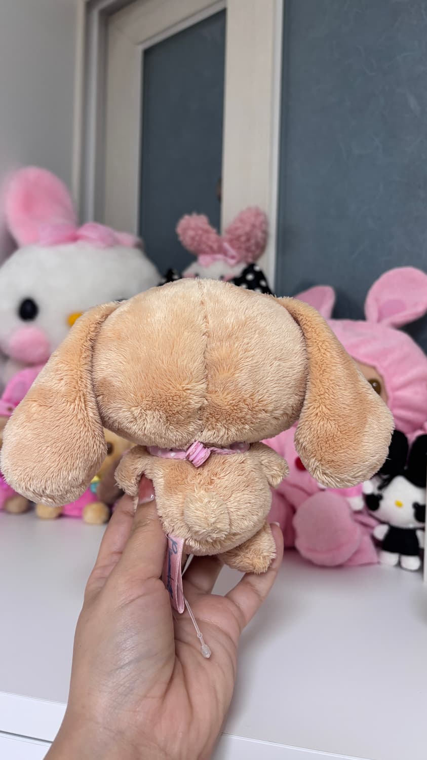 시나모롤 모카 , 카푸치노 10주년 인형 상품이미지5