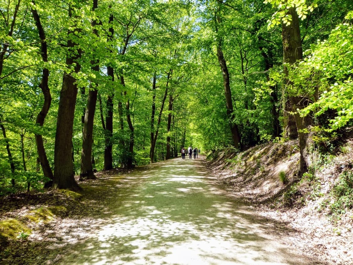 뽀용 인기 카메라 파나소닉 루믹스 DMC-FX66 작례o 상품이미지9