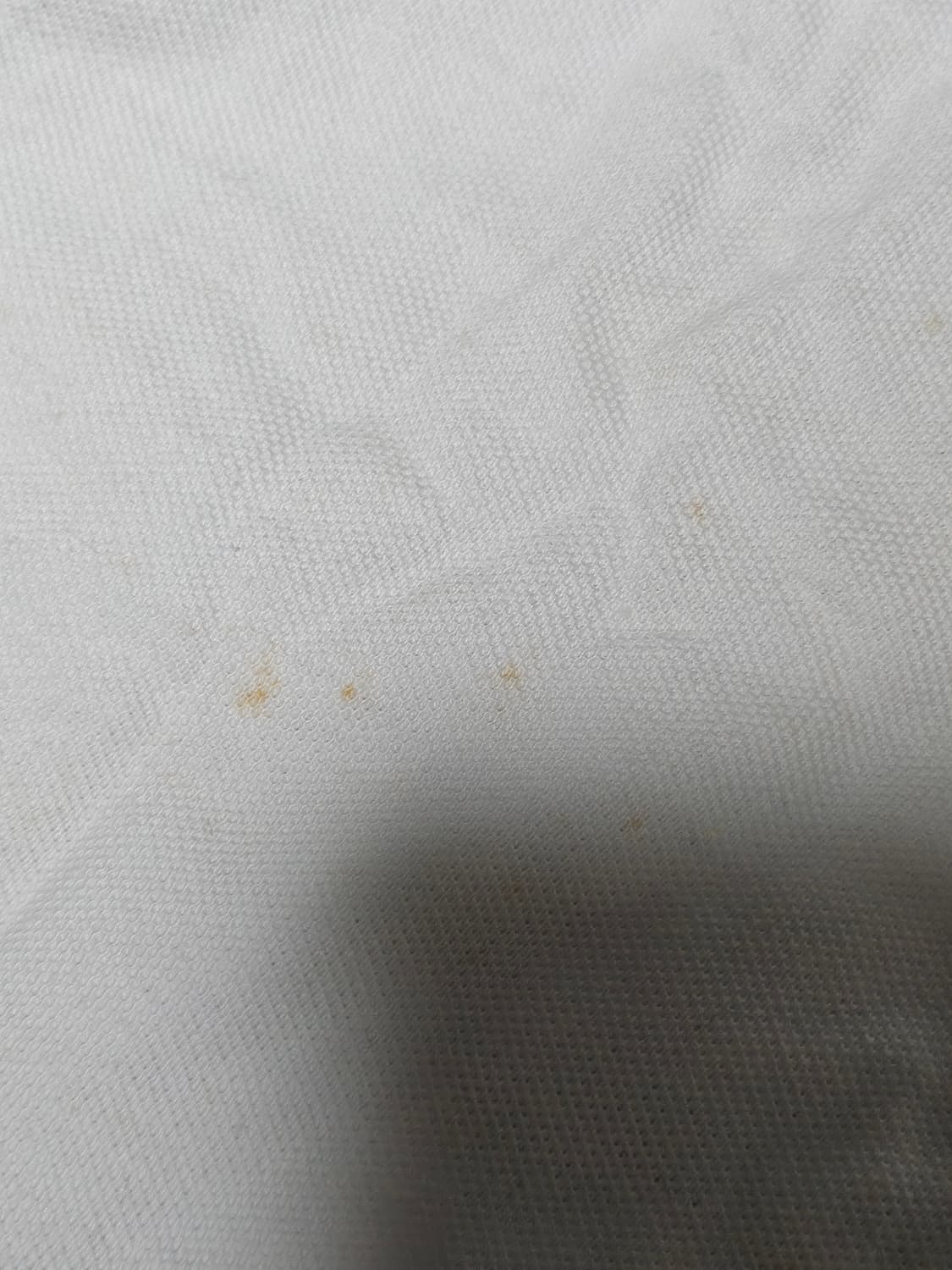 폴로랄프로렌 블랙와치 빅포니 카라티 카라티셔츠 럭비티 M 상품이미지8