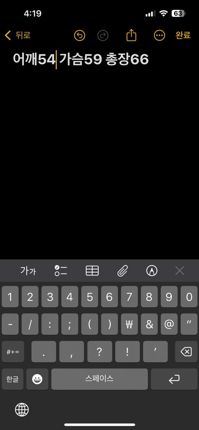 노스페이스 700 고프코어 발토로 패딩 상품이미지5