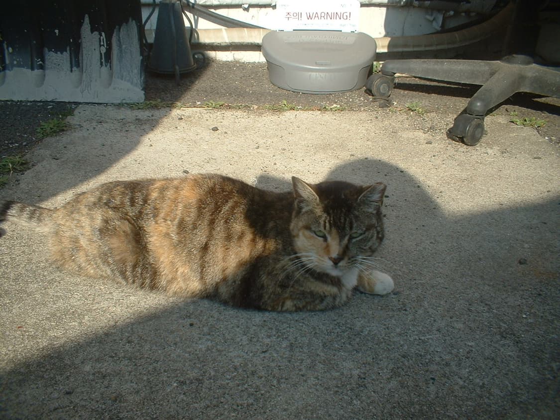 후지필름 파인픽스 a202   눈물의 급처.... 상품이미지2