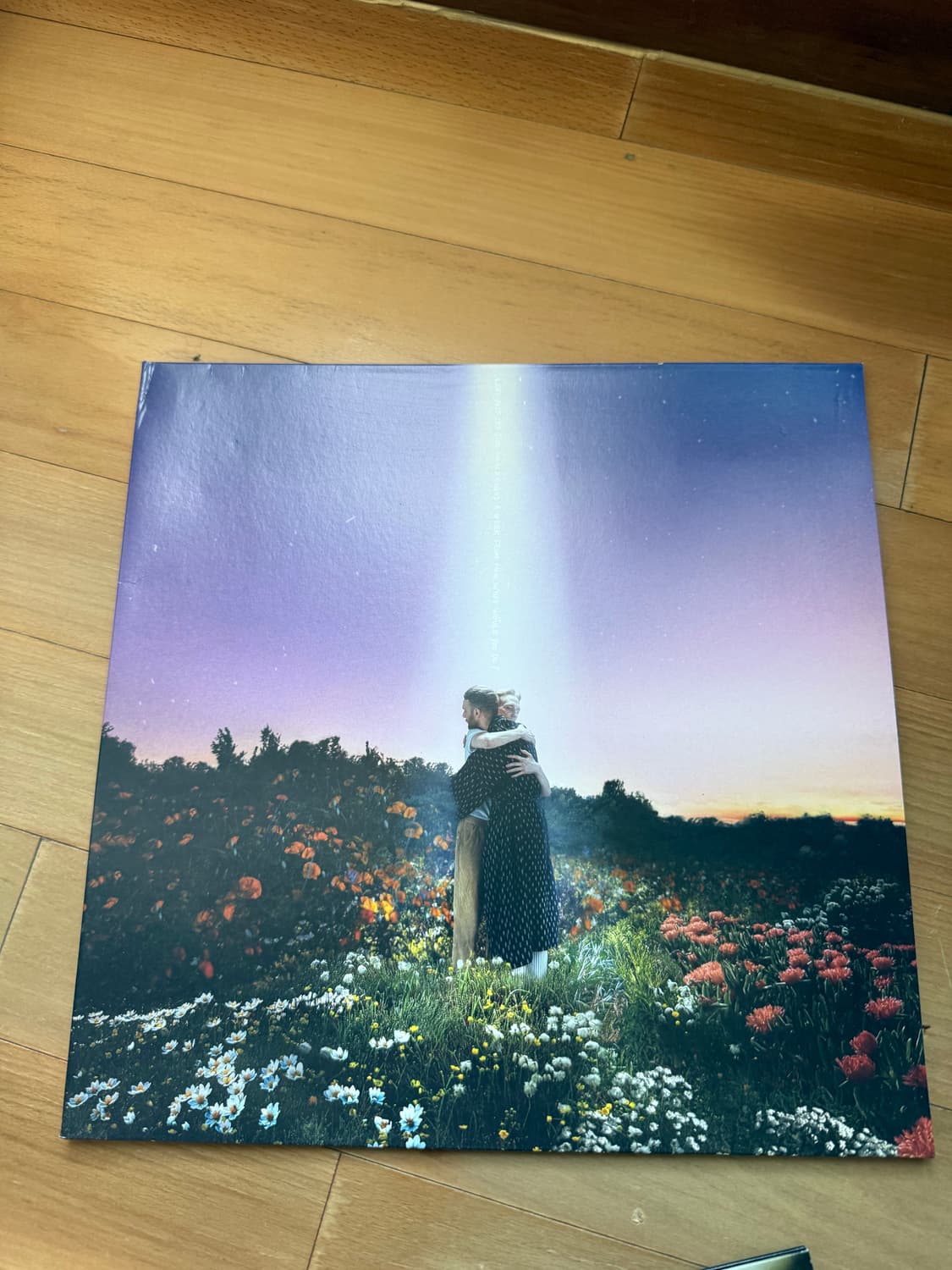 팝송 lp 판매  상품이미지8