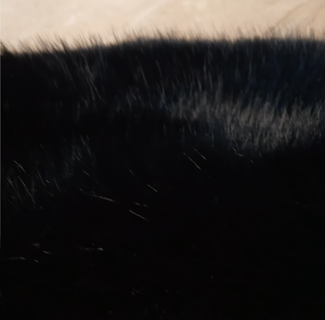 인조퍼카라 가죽 라이더 자켓 (새상품) 상품이미지7