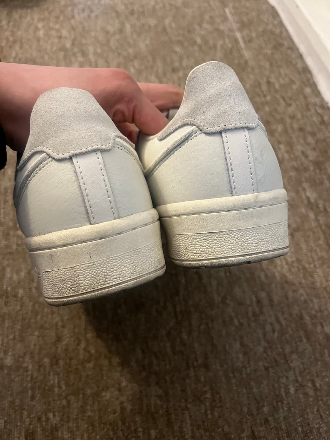 라이벌리 86 로우  상품이미지4