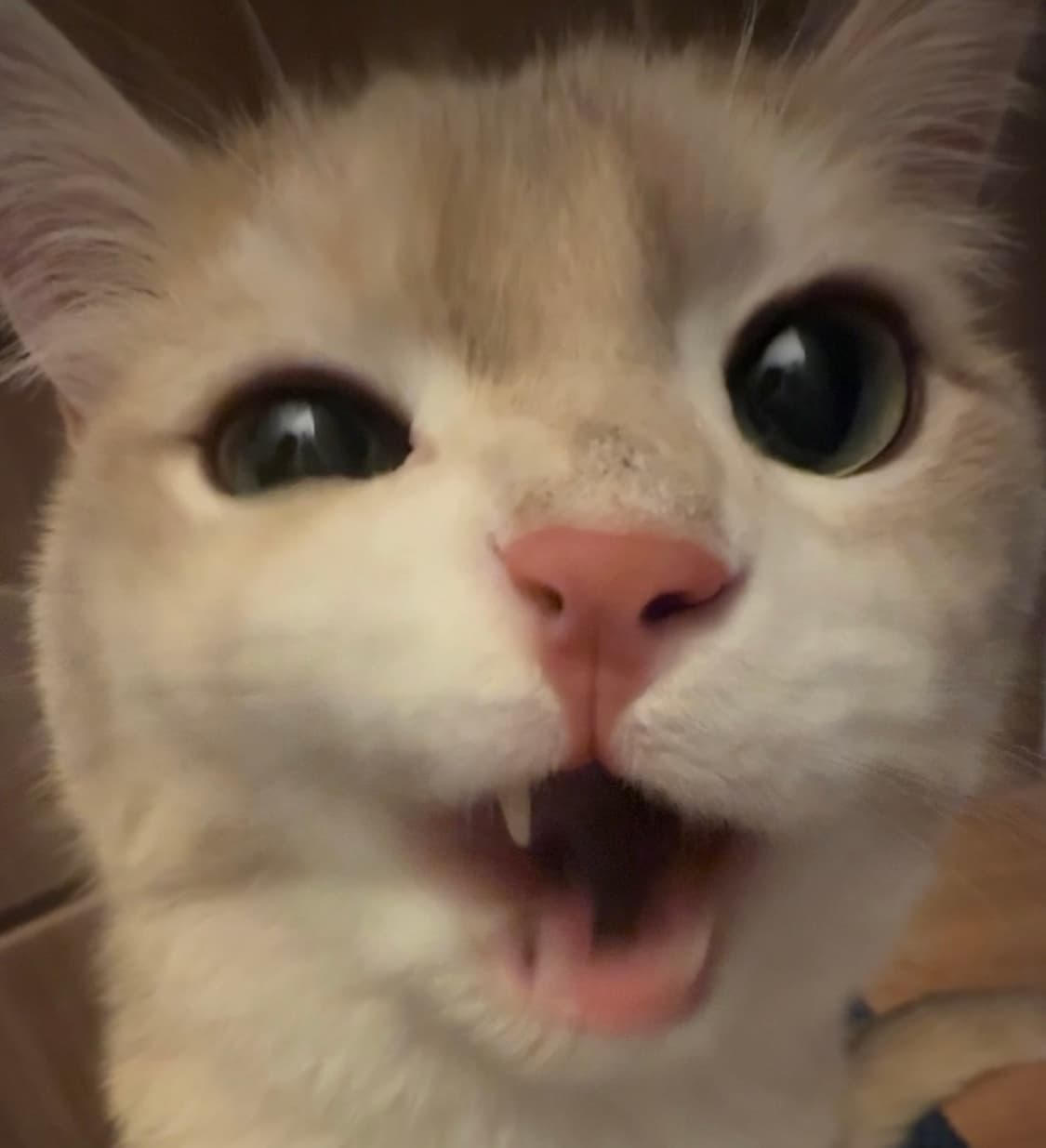 결제창 상품이미지1