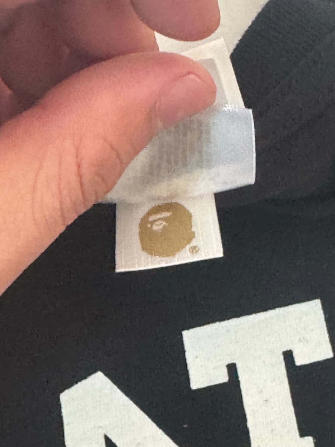 베이프 컬리지 로고 반팔 상품이미지4