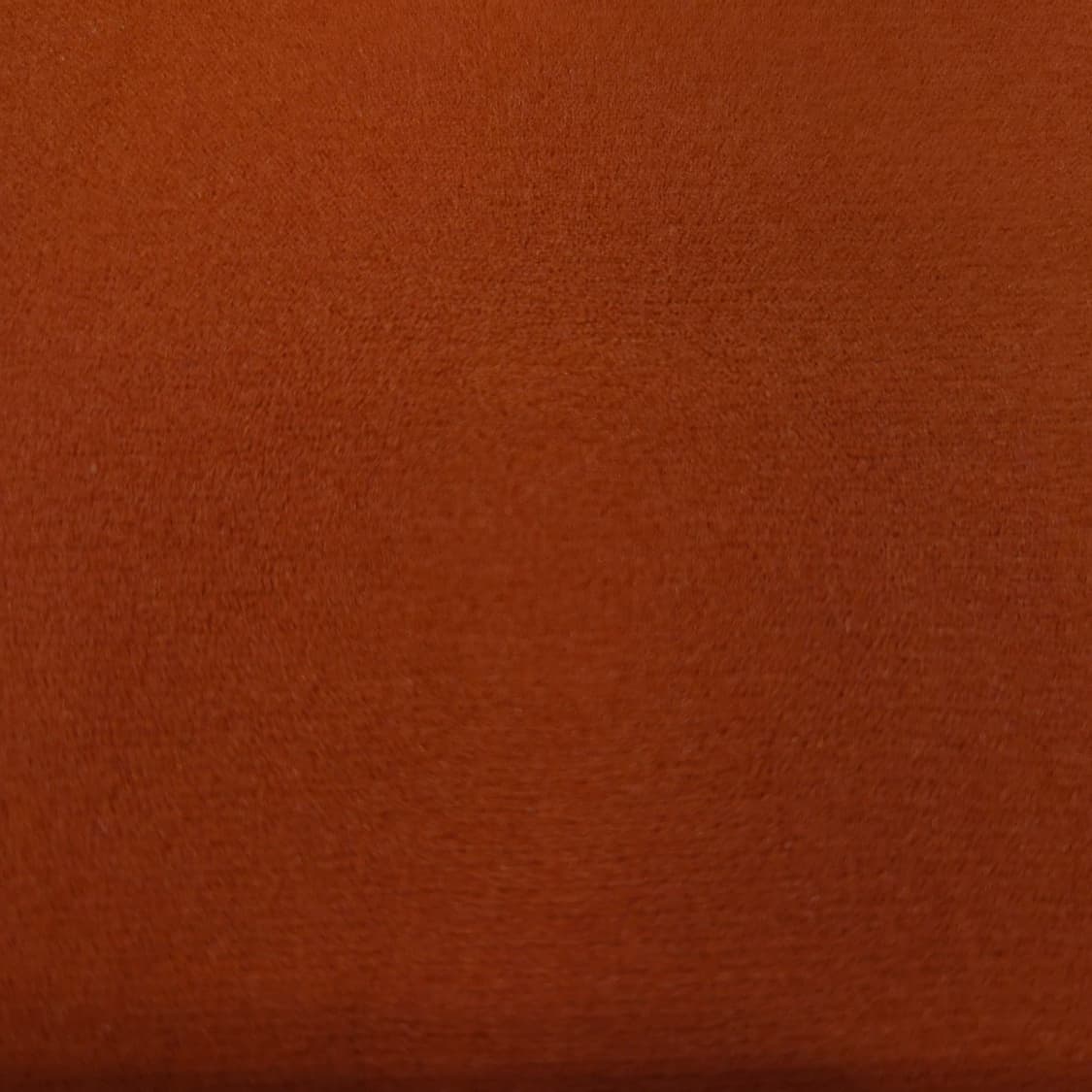 Kanebo 코랄오렌지 40D 컬러 스타킹 상품이미지2