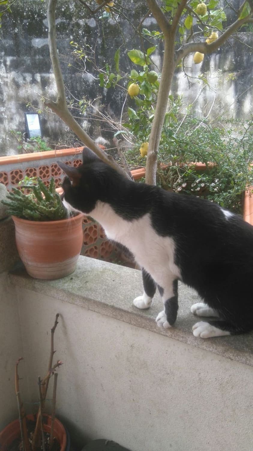 실버 케이스 필름 상품이미지1