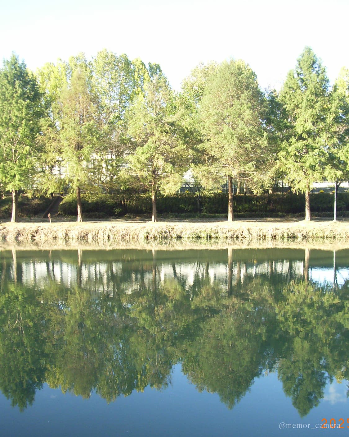 희귀/쿨톤뽀용느낌작례♥️RICOH Caplio R1 리코 디카 상품이미지7