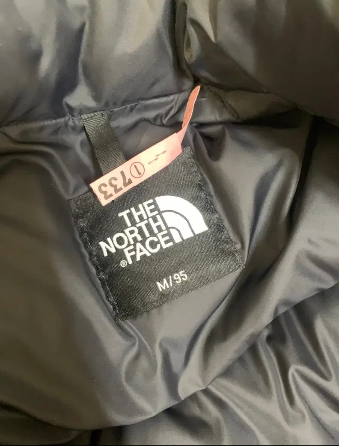 노스페이스 에코 눕시 패딩 1996 (M 95) 상품이미지4
