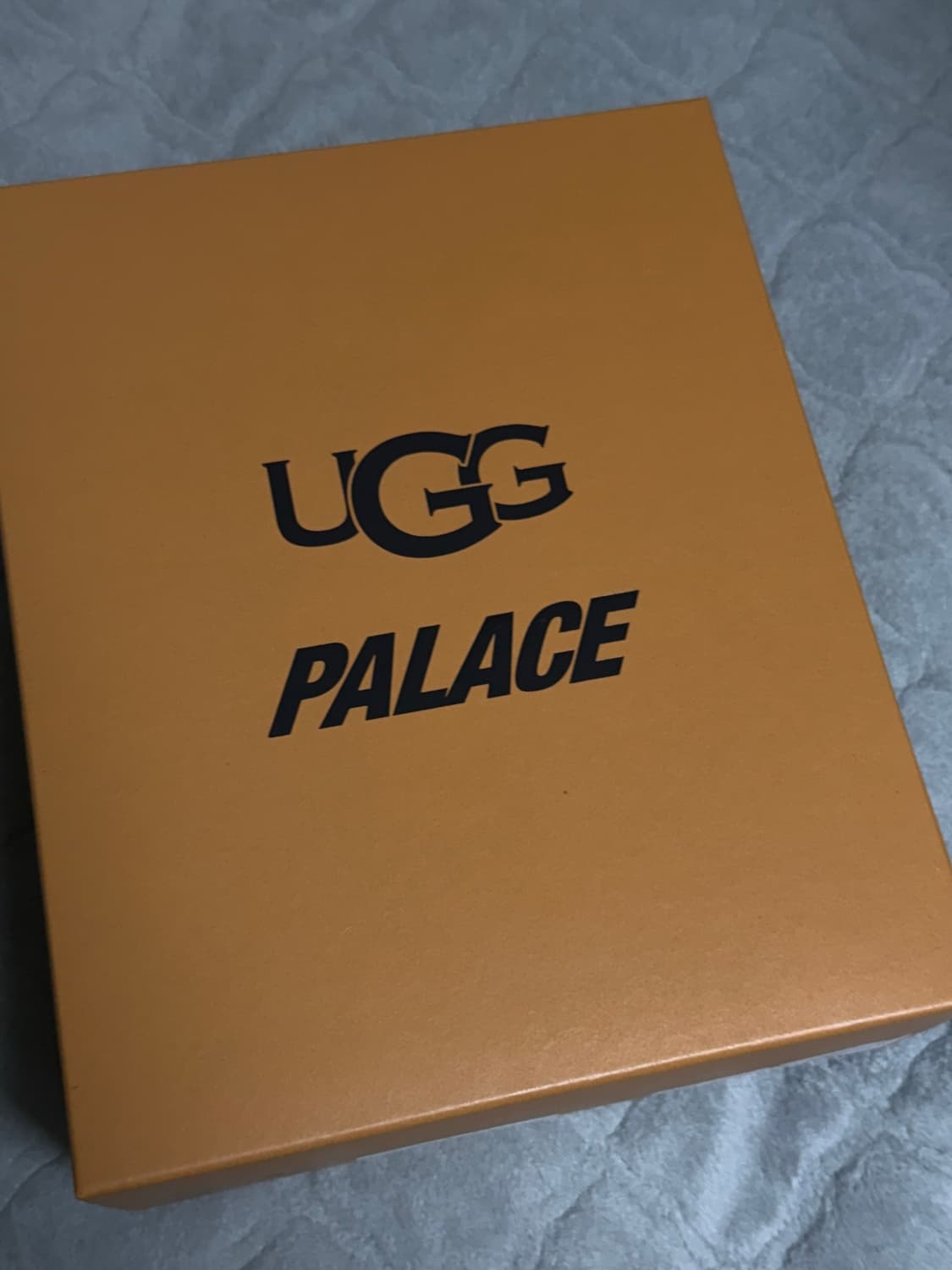 팔라스 어그 타스만 체스트넛 us6(240) 판매 상품이미지2