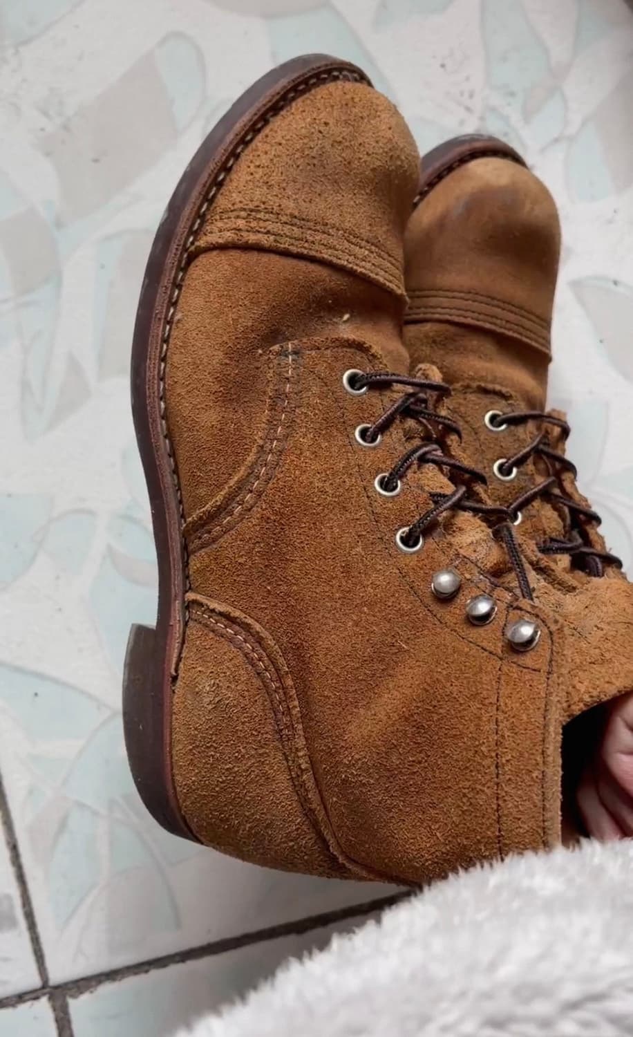 레드윙 8083 8.5d 상품이미지6