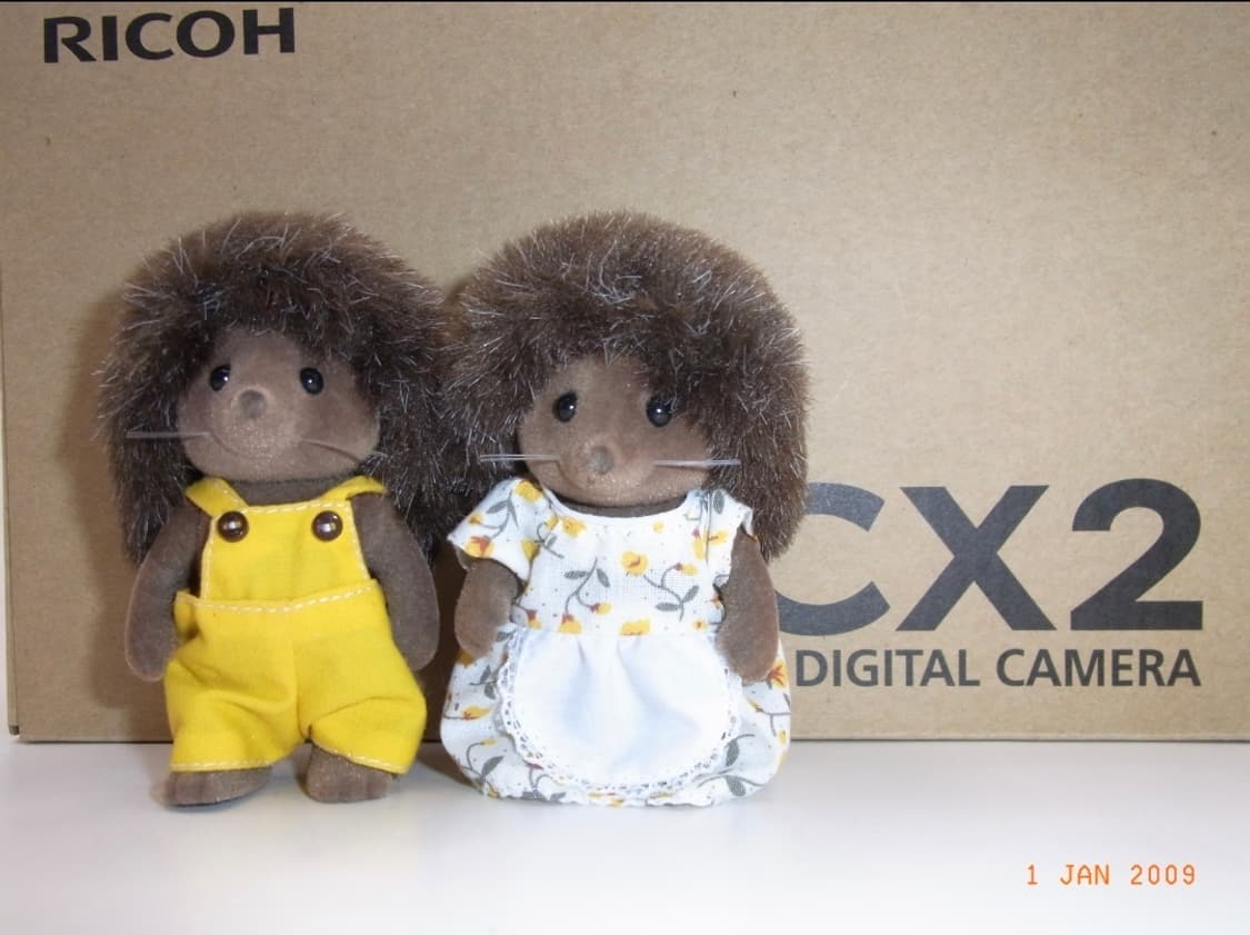 풀박✨️리코 CX2 블랙 🖤 클래식 감성 + 강력 줌 디카 💕 상품이미지7