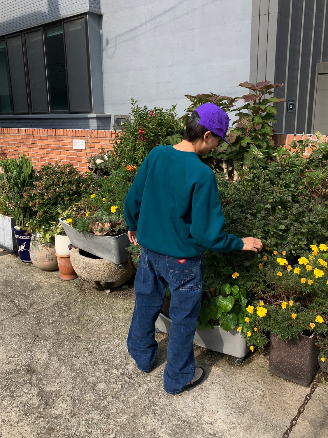 Fruit of the room 상품이미지10