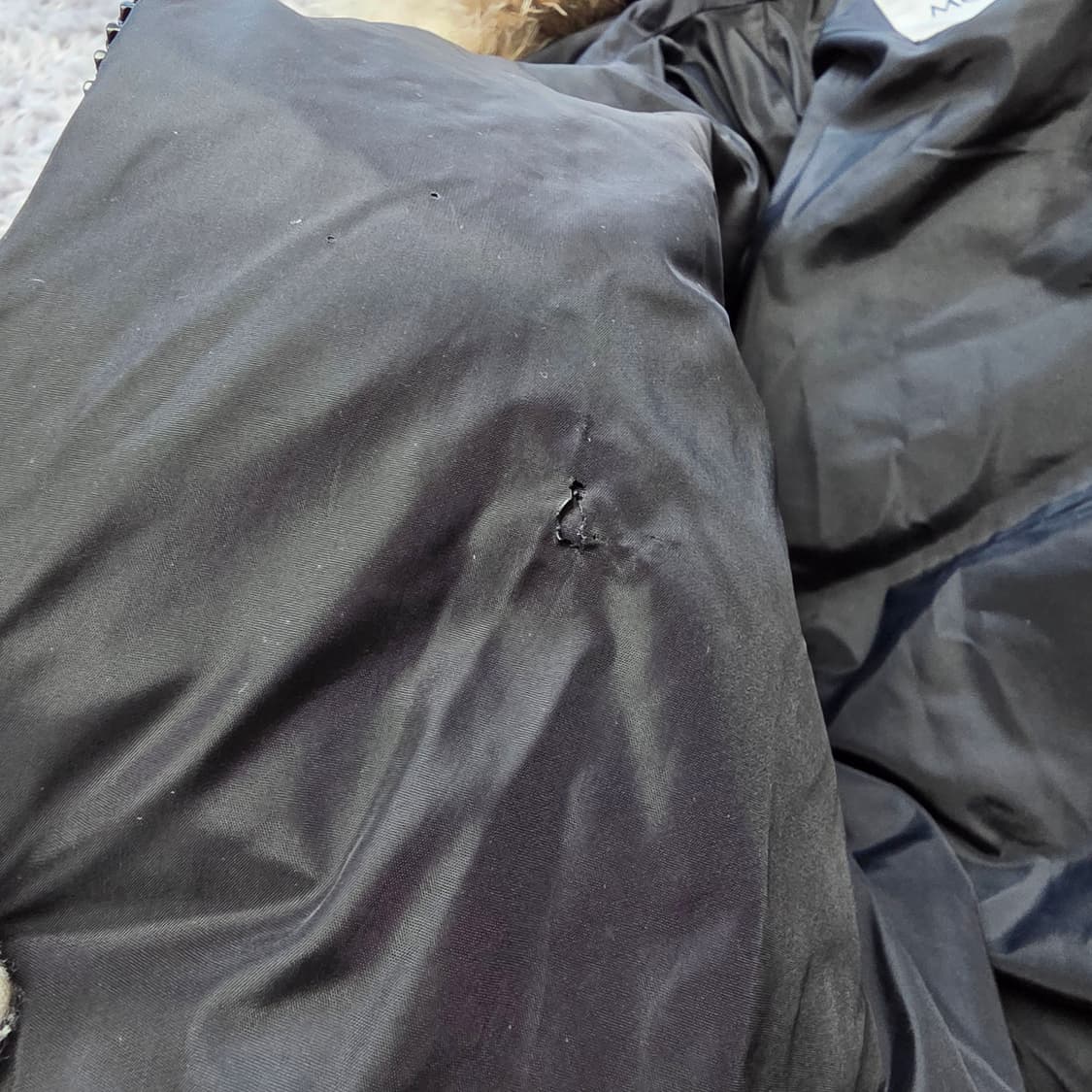 {클로젯}[1][22F/w백화점판]몽클레어 클리온 숏 다운 패딩 상품이미지10