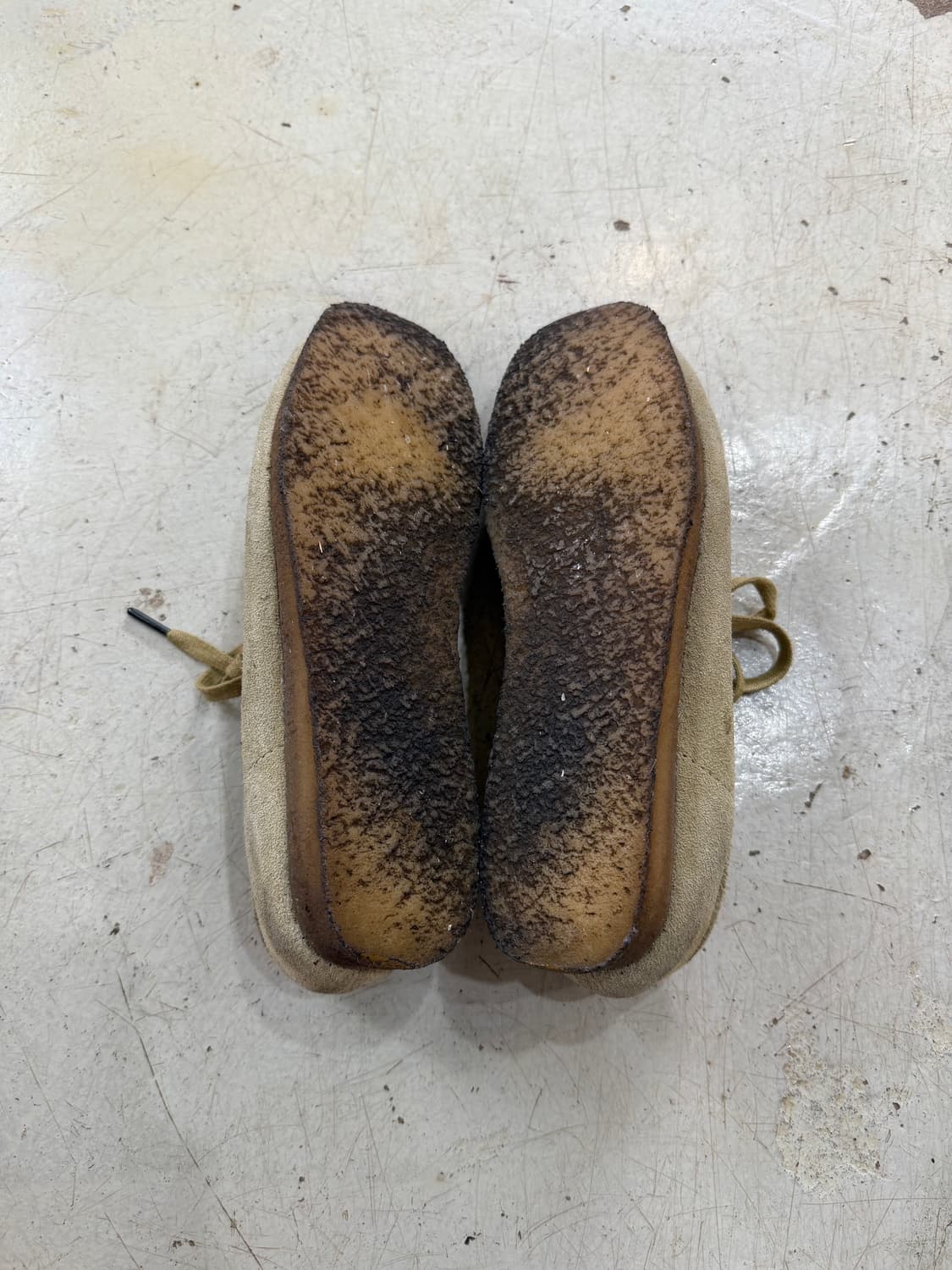 클락스 메이플 스웨이드 왈라비 상품이미지4