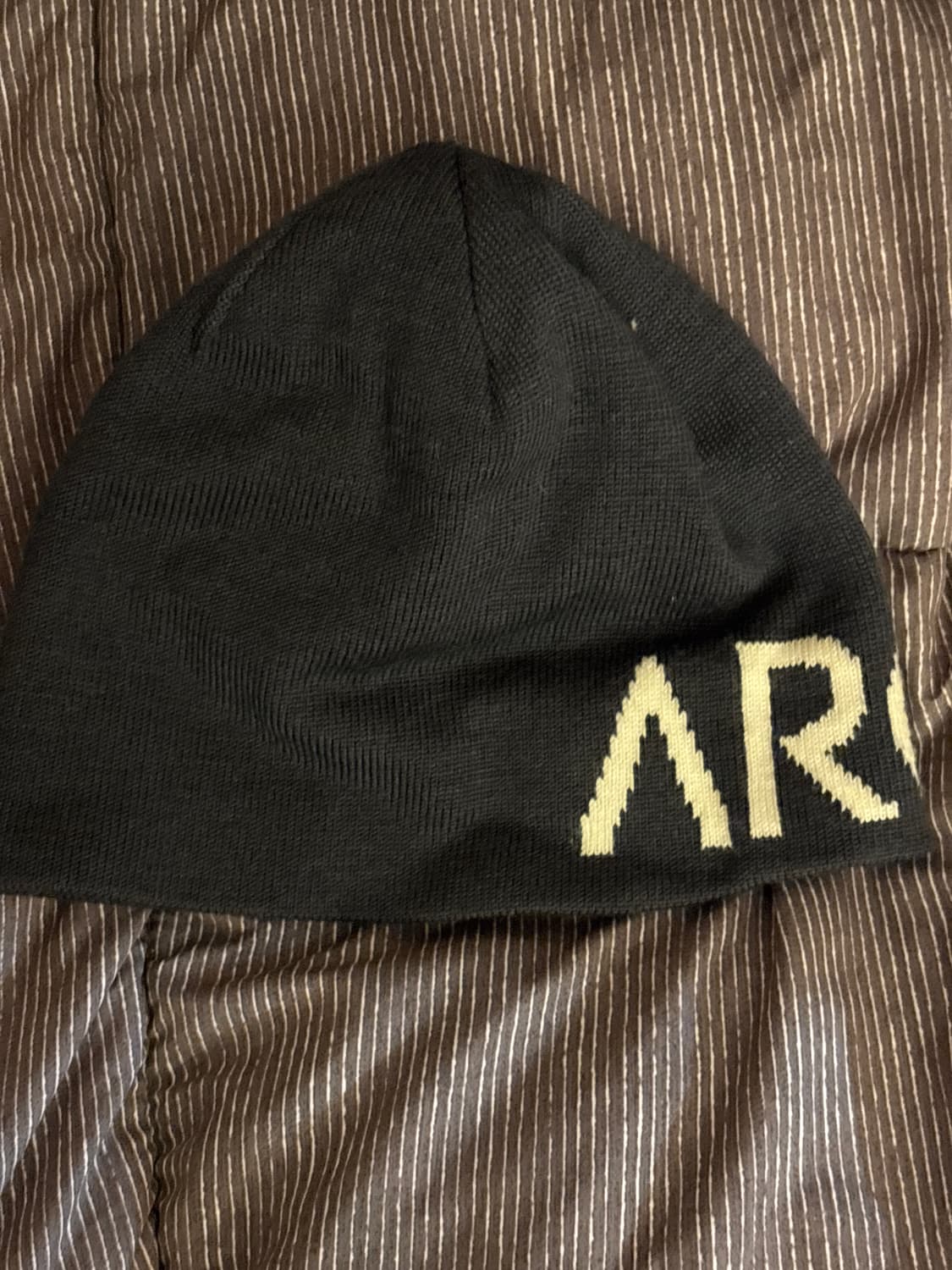 아크테릭스 비니 상품이미지2